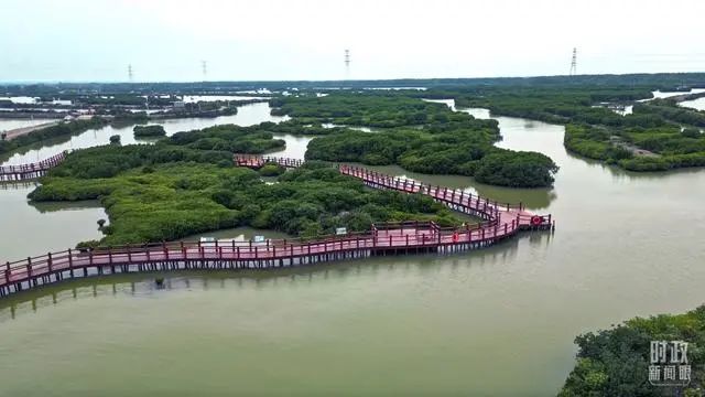 习近平湛江首行：从总书记考察足迹看“大国之重”(图2)